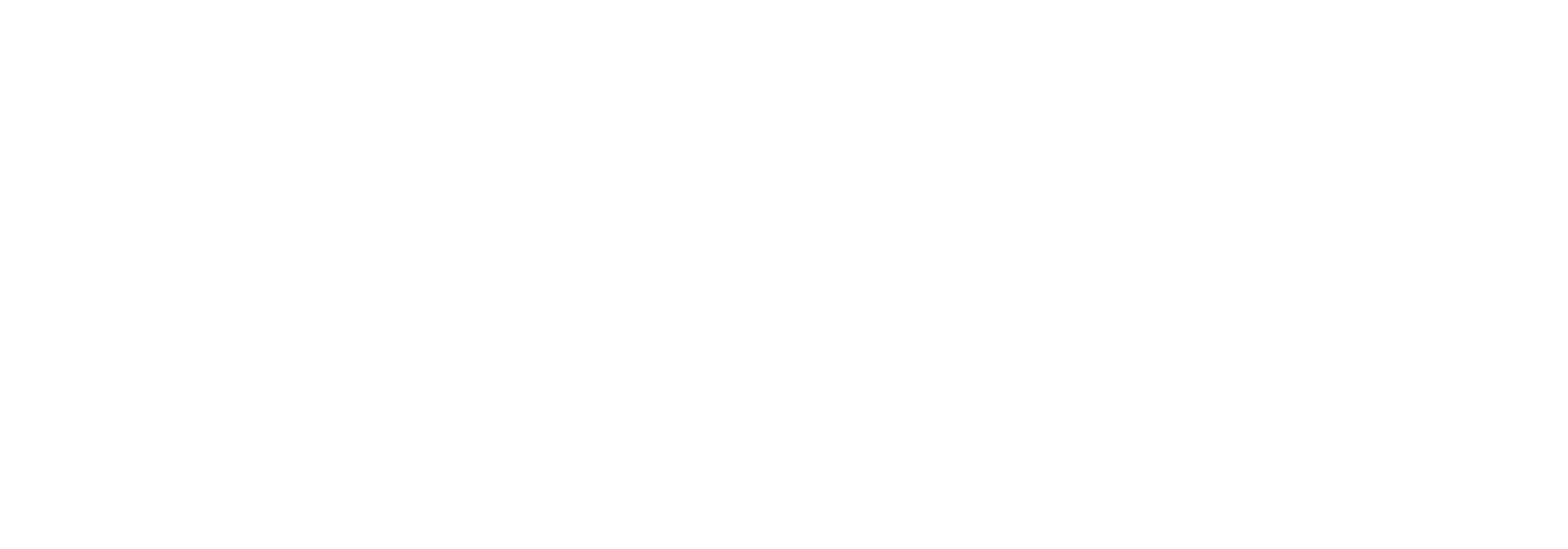 Lexxi Pro